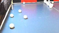 DOUBLE TOPSPIN TRAINER und Ballfang-Netz