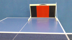TOPSPIN TRAINER