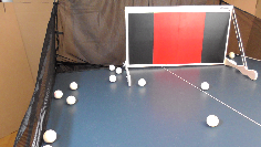 TOPSPIN TRAINER mit Ballfang-Netz