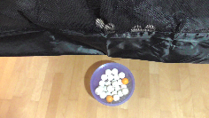 TOPSPIN TRAINER mit Ballfang-Netz